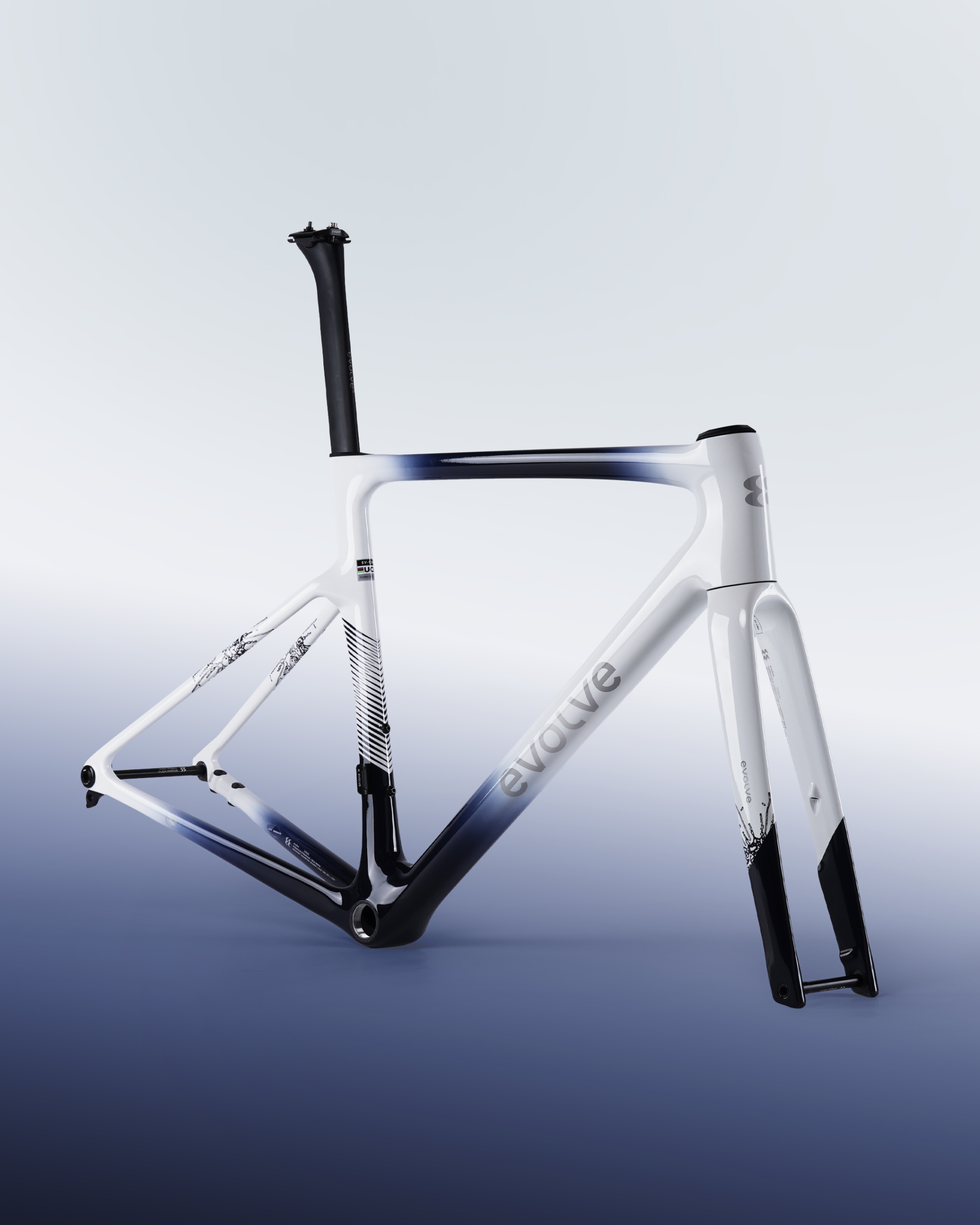 CIMA Speed – Navy White